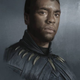 Illustration for article titled The Art Of iBlack Panther/i